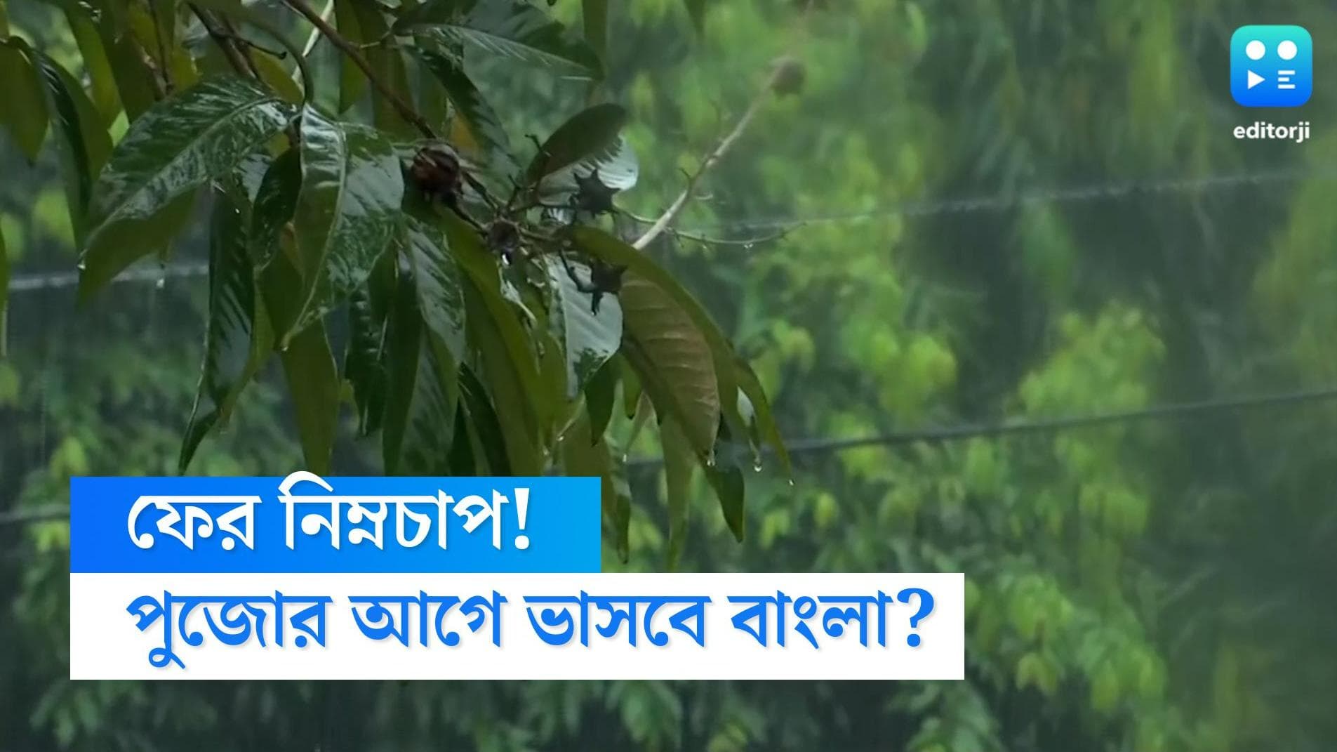 West Bengal Weather Update: পুজোর আগেই উত্তরবঙ্গে নিম্নচাপের ভ্রুকুটি! কোন কোন জেলায় সবচেয়ে বেশি বৃষ্টি?