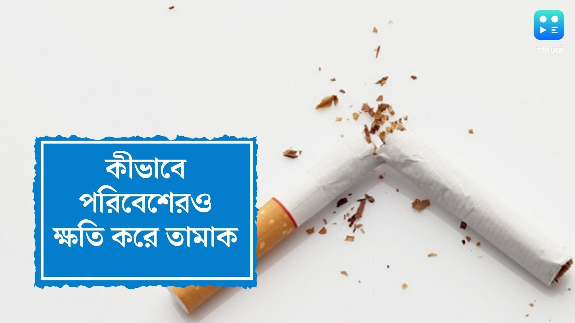 No Tobacco Day 2022: আজ ধূমপান বিরোধী দিবস, শুধু স্বাস্থ্য নয়, পরিবেশেরও মারাত্মক ক্ষতি করে তামাক