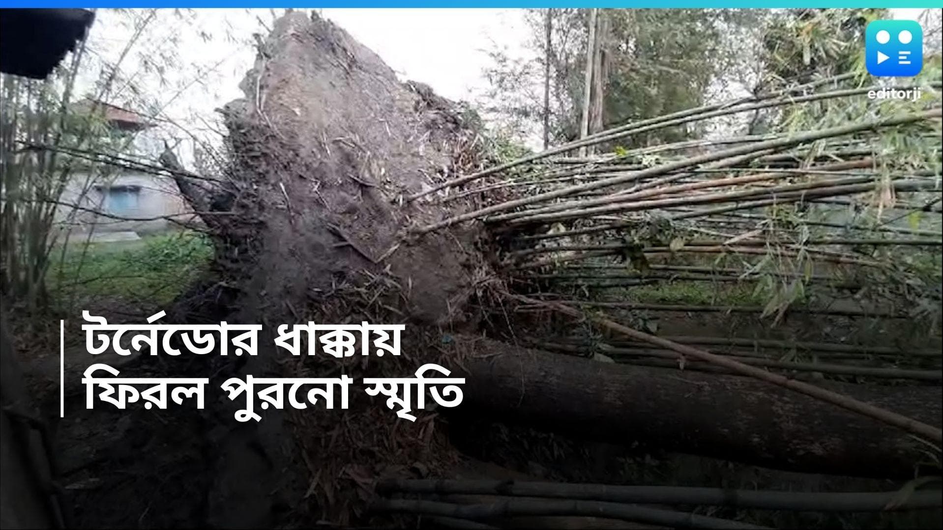 Jalpaiguri : দাঁতন, দেগঙ্গার স্মৃতি ফেরাল রবিবারের জলপাইগুড়ি, কী বলছেন আবহাওয়াবিদরা ?