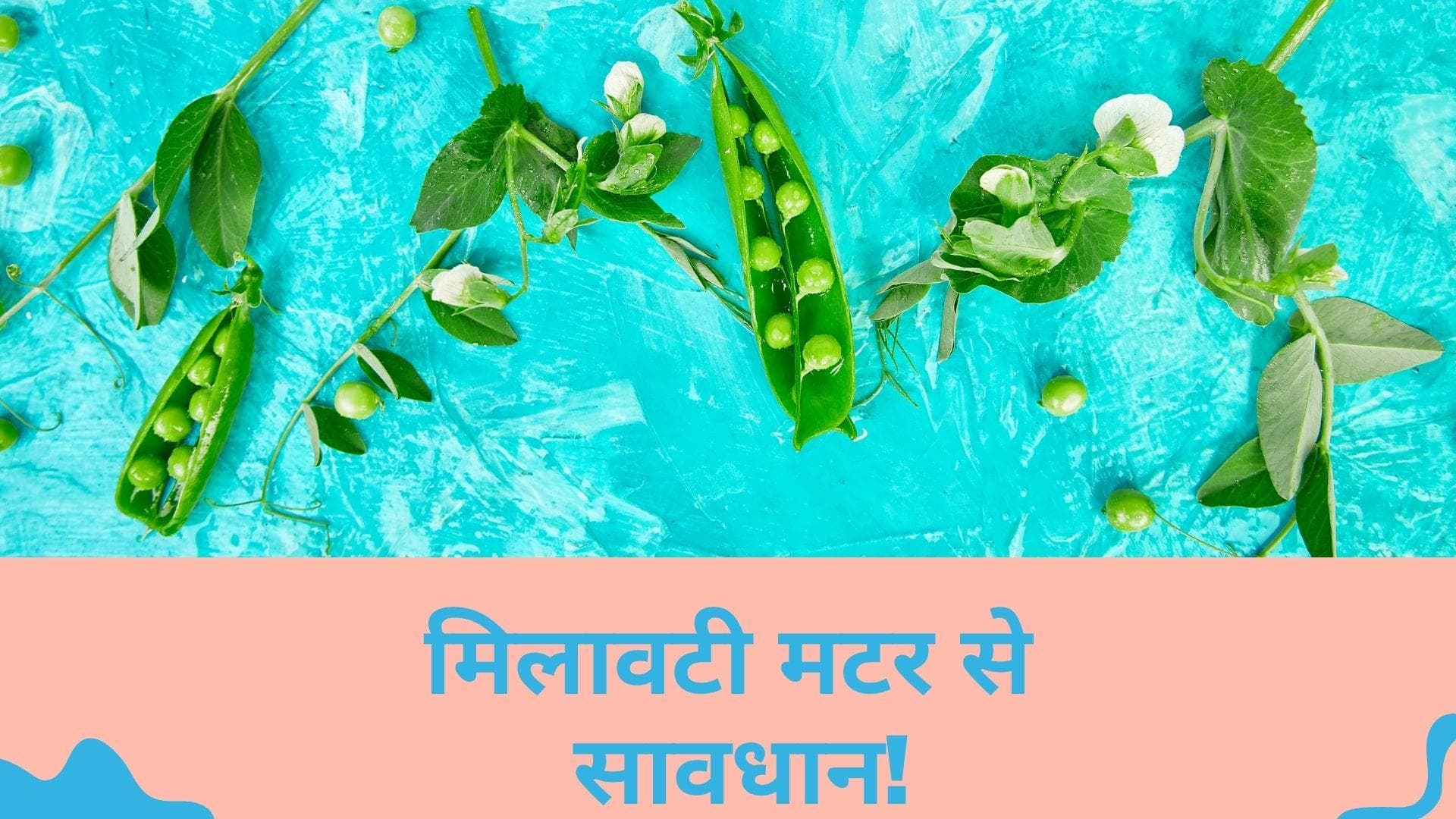 Green Peas Adulteration: हरे मटर में तो नहीं है मिलावट, FSSAI के इस टेस्ट से लगाएं पता