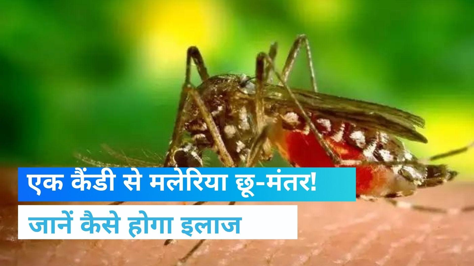 Malaria से बच्चों को बचाएगी 'स्वीट कैंडी', जानें कैसे होगा इलाज