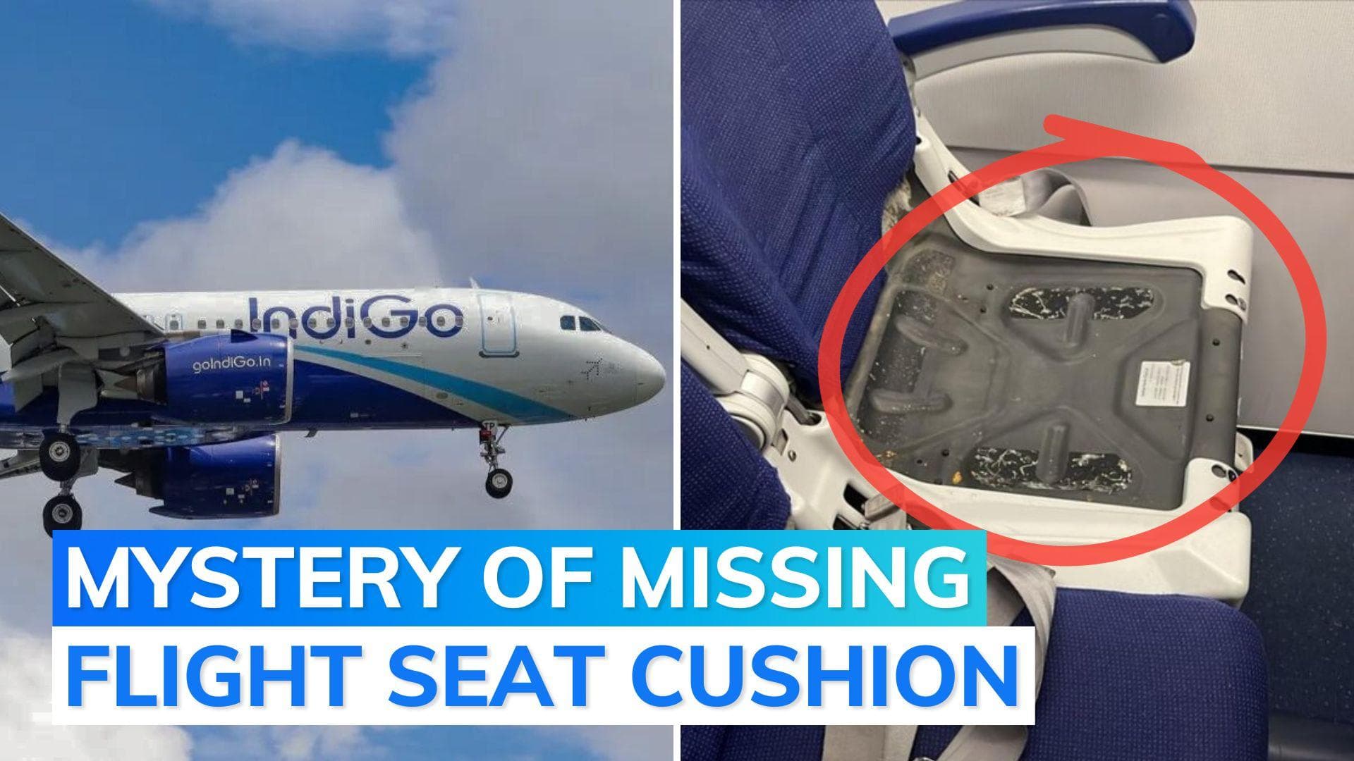 Indigo passenger shares picture of missing seat cushion on flight, internet users react