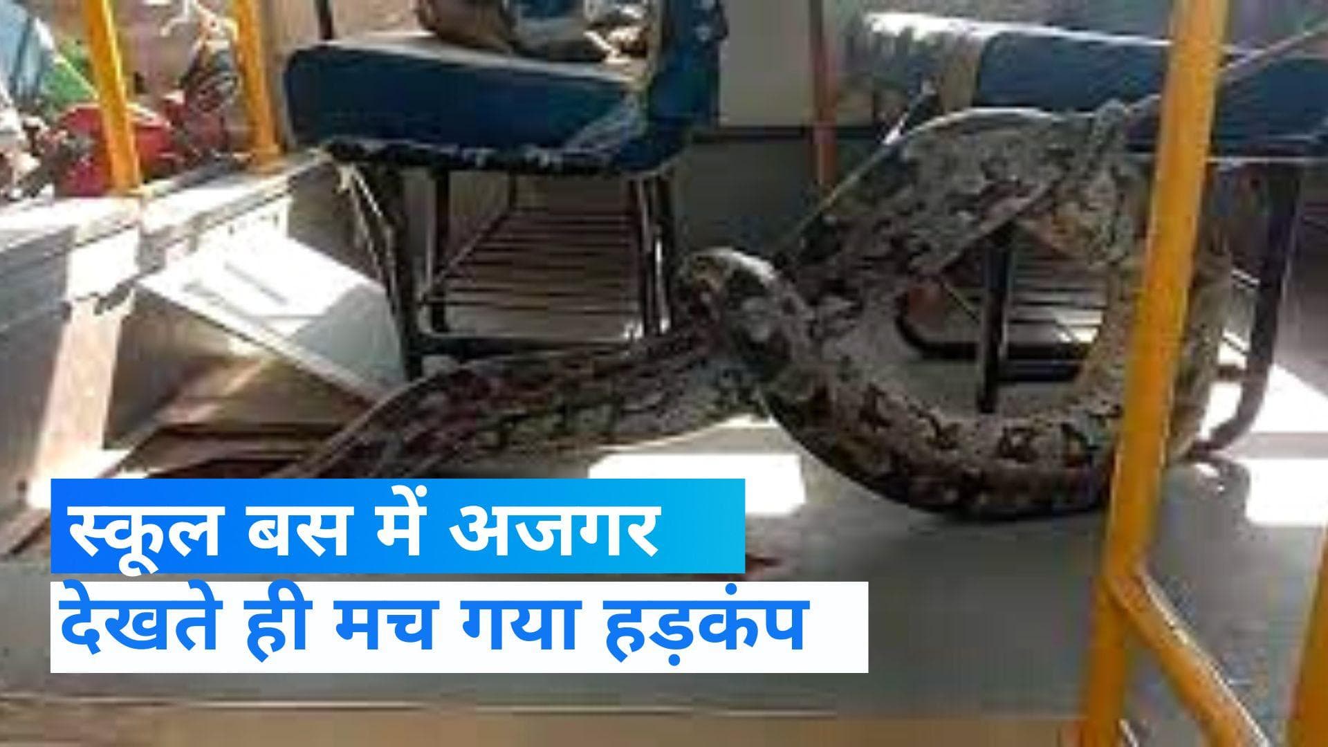 UP News: स्कूल बस में मिला अजगर, देखते ही लोगों में मचा हड़कंप Video Viral 