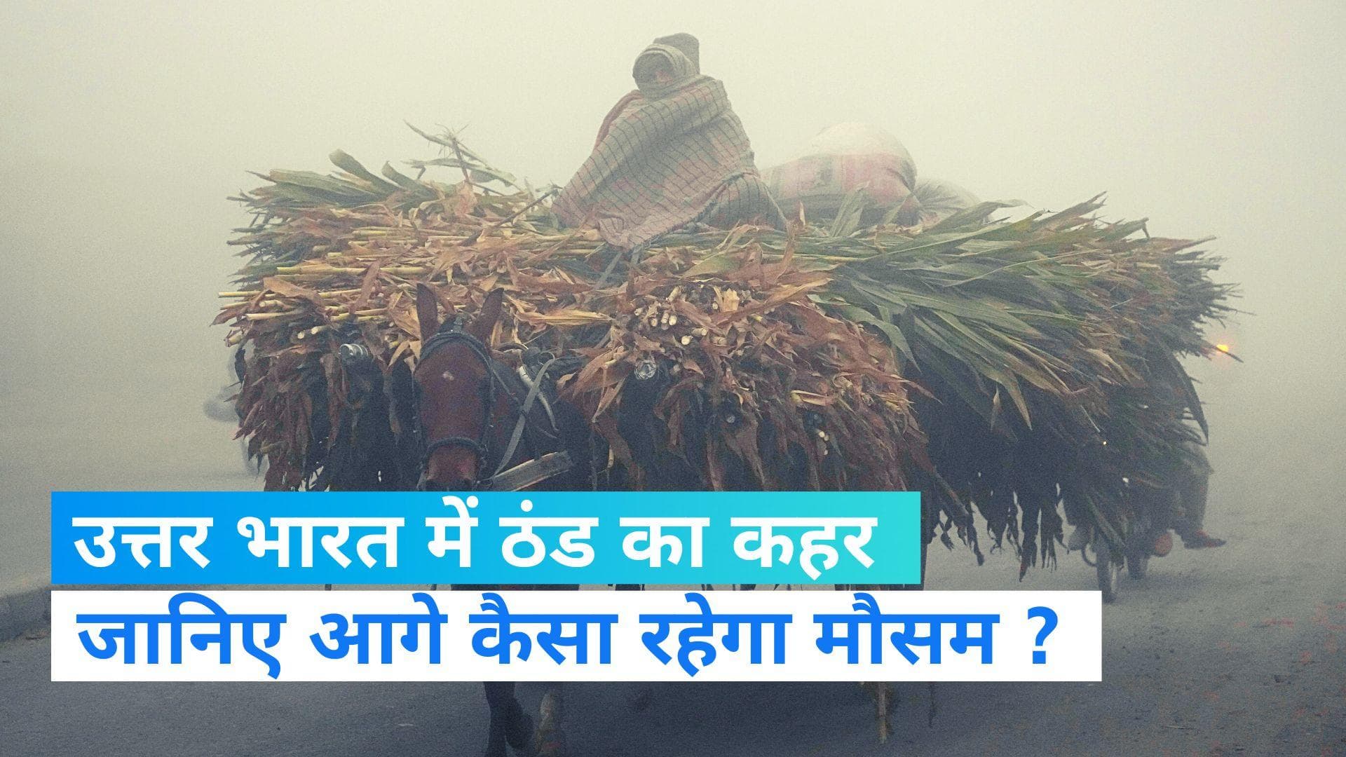 India Weather Update: दिल्ली में सर्दी से मामूली राहत, यूपी में ठंडी हवाओं ने बढ़ाई गलन