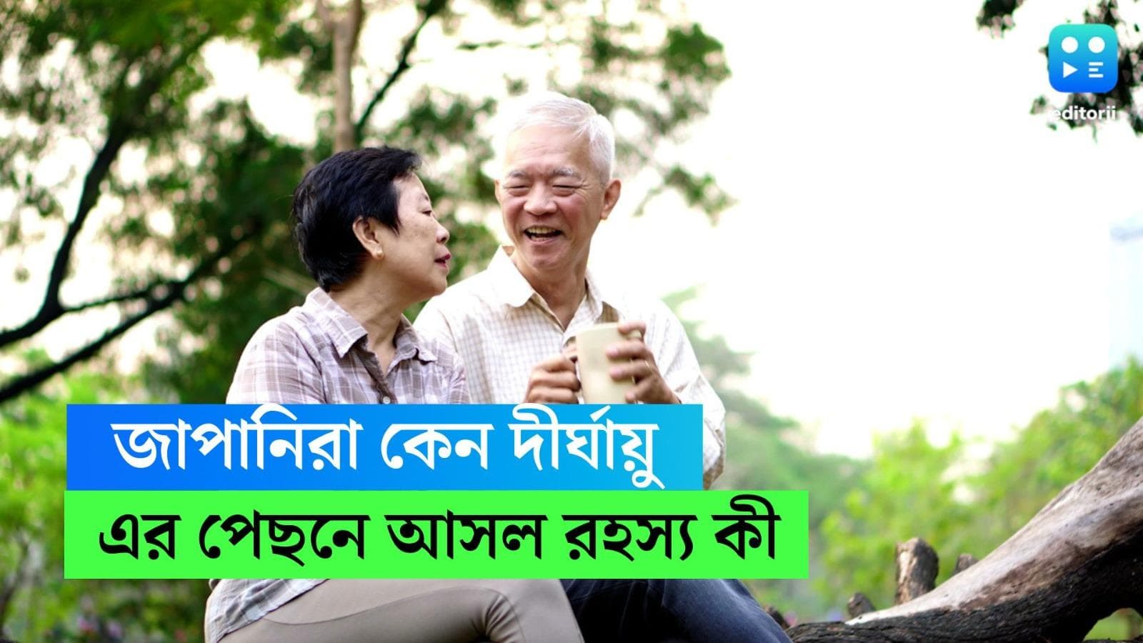 Japanese Lifestyle: জাপানিদের গড় আয়ু ৮৪ বছর, কোন মন্ত্রে সম্ভব সুস্থ, সতেজ, নিরোগ জীবন?