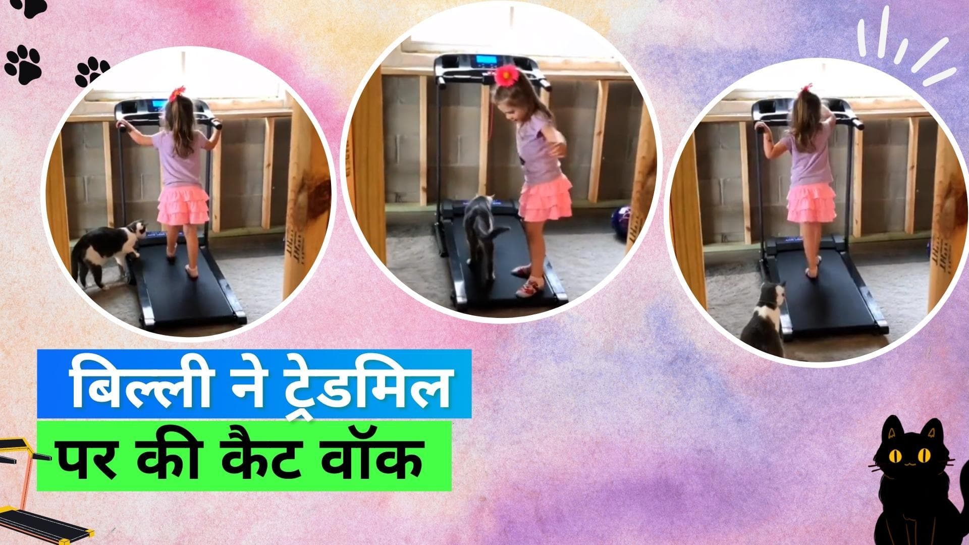 Viral Video: छोटी बच्ची ने बिल्ली को ट्रेडमिल पर चलना सिखाया, लोगों ने लुटाया खूब प्यार