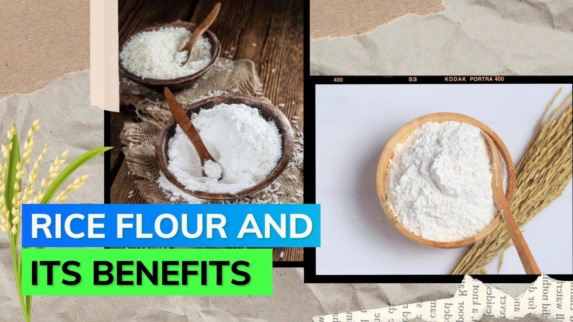 Rice flour or rice powder possesses various health benefits; know more