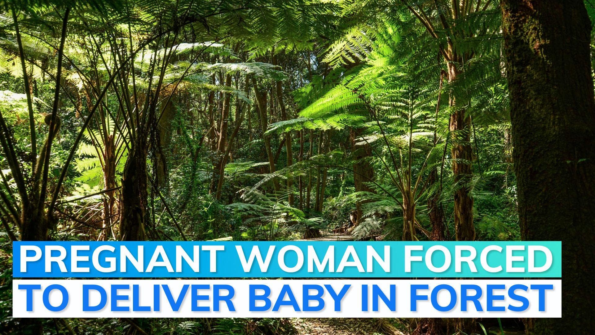 Maharashtra: Pregnant tribal woman carried in makeshift stretcher, delivers baby in forest