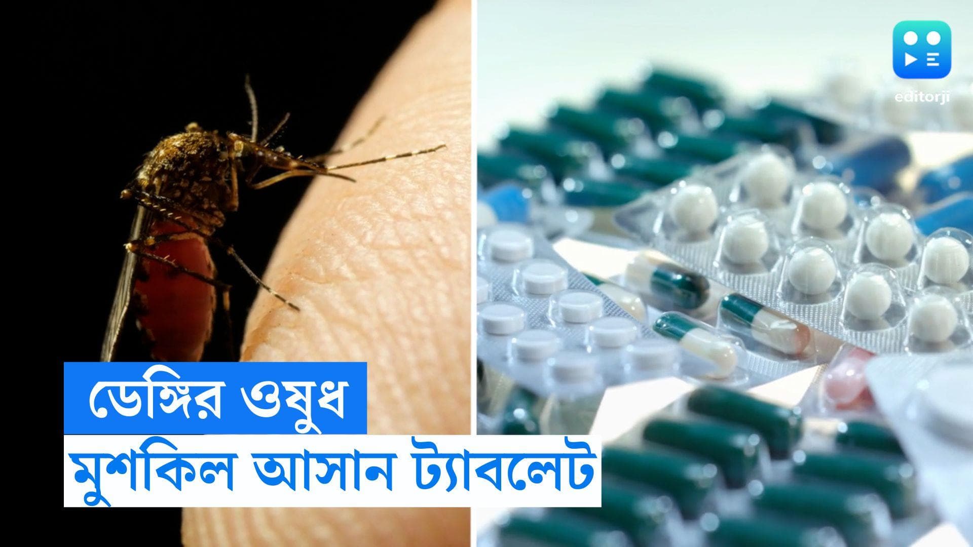 Dengue Medicine: ডেঙ্গির ওষুধ গবেষণায় বড়সড় সাফল্য, জনসন অ্য়ান্ড জনসনের ট্যাবলেটেই মুশকিল আসান