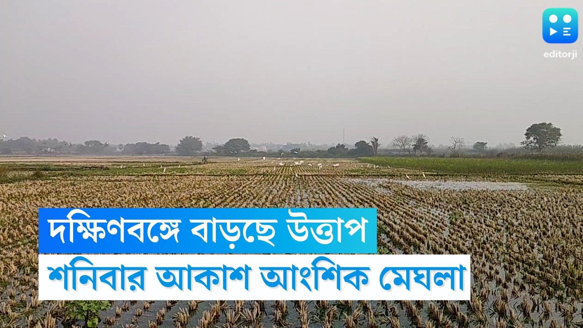 West Bengal Weather Update: বাড়ছে দক্ষিণবঙ্গের তাপমাত্রা, বেলা বাড়লেই গরম, শনিবার আকাশ আংশিক মেঘলা