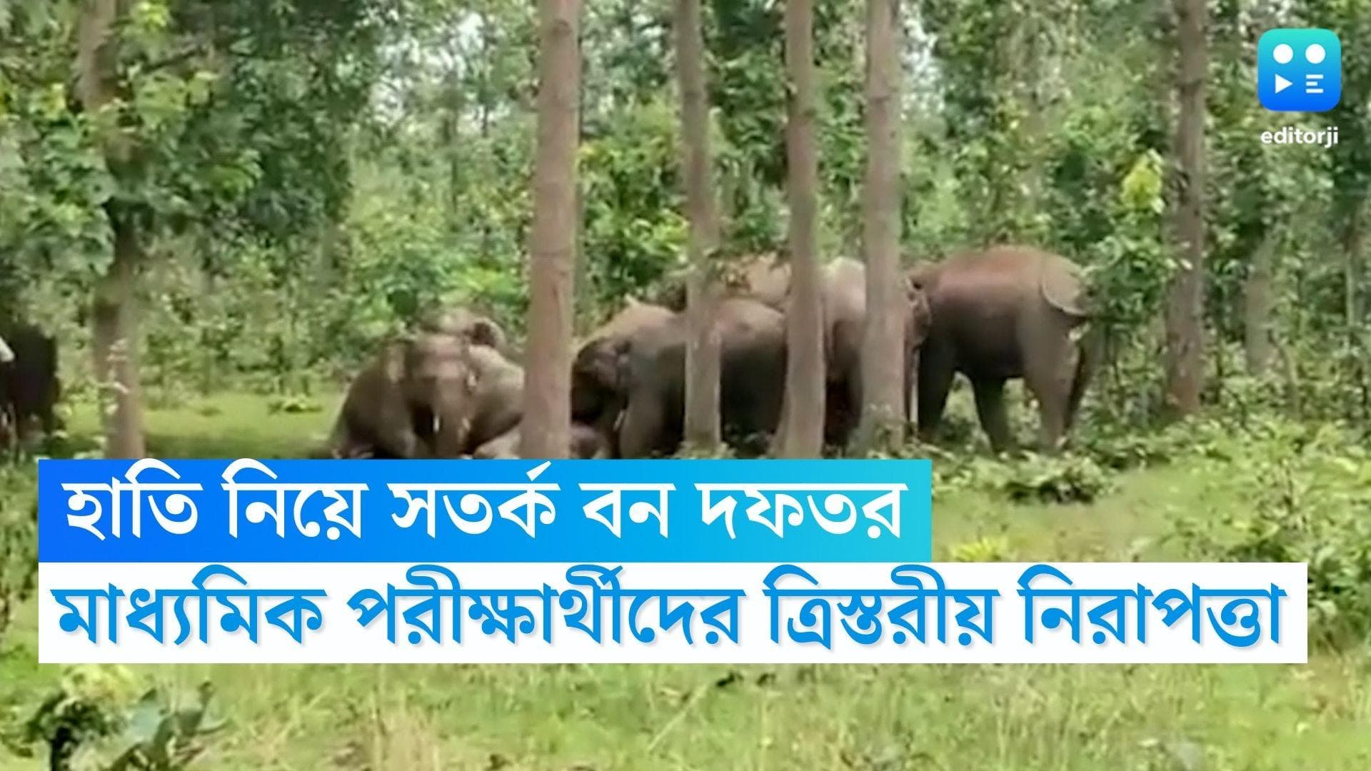 Madhyamik Exam: মাধ্যমিক পরীক্ষার্থীদের ত্রিস্তরীয় নিরাপত্তা, হাতির হামলা নিয়ে বাঁকুড়ায় উদ্যোগ বন দফতরের