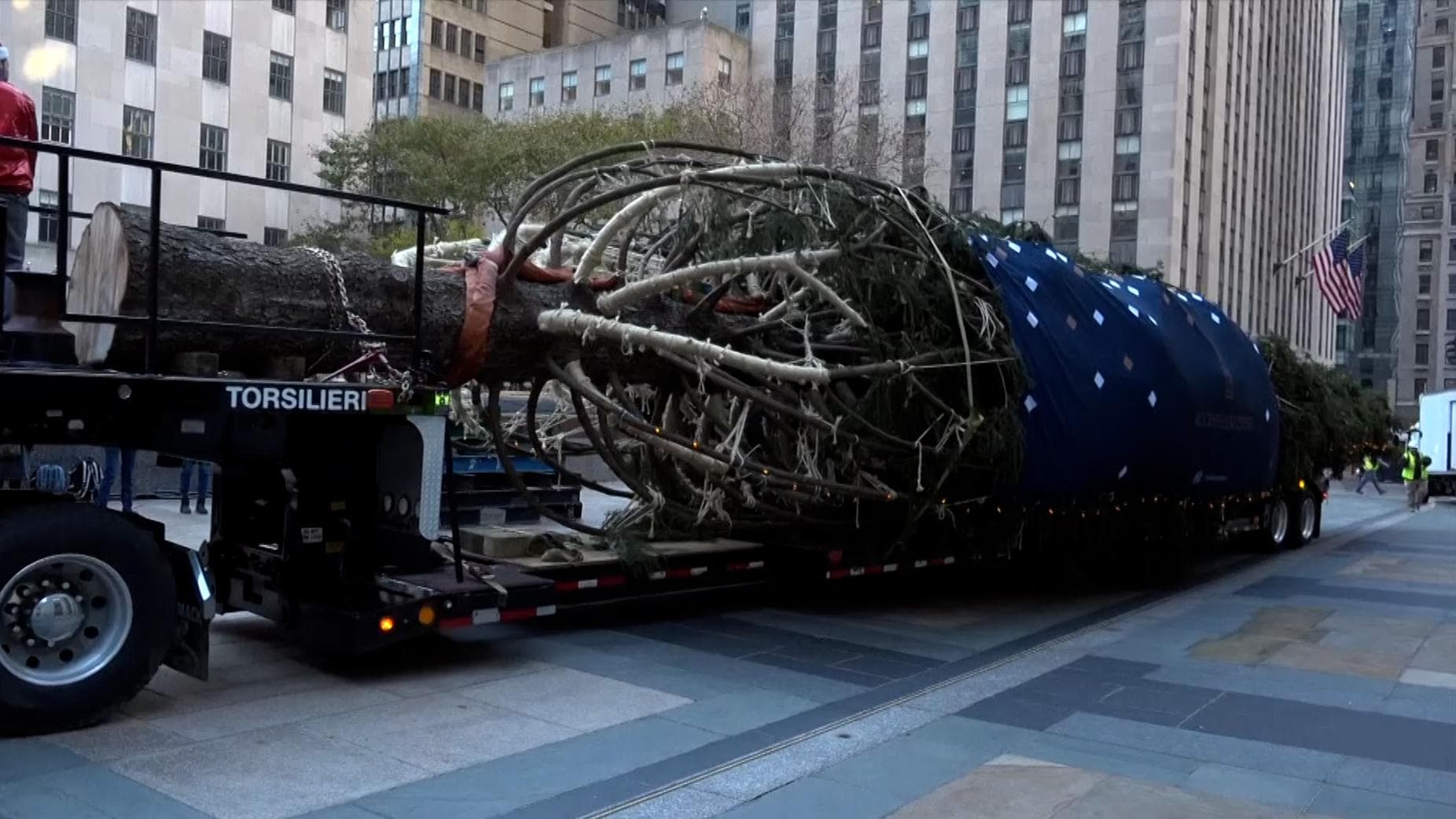 Watch: 79-foot Christmas tree arrives in New York as festive season kicks in