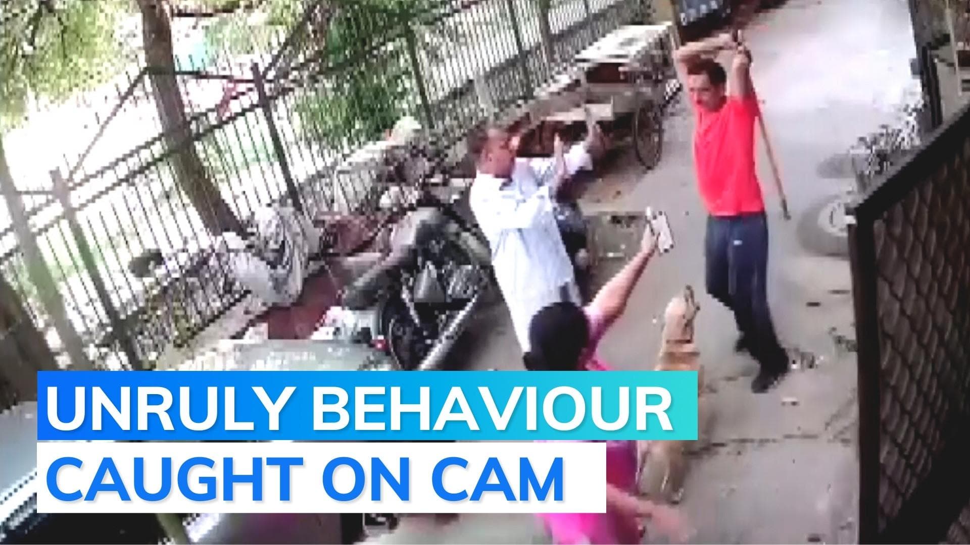 Caught on cam: man attacks neighbours and their pet dog with iron pipe