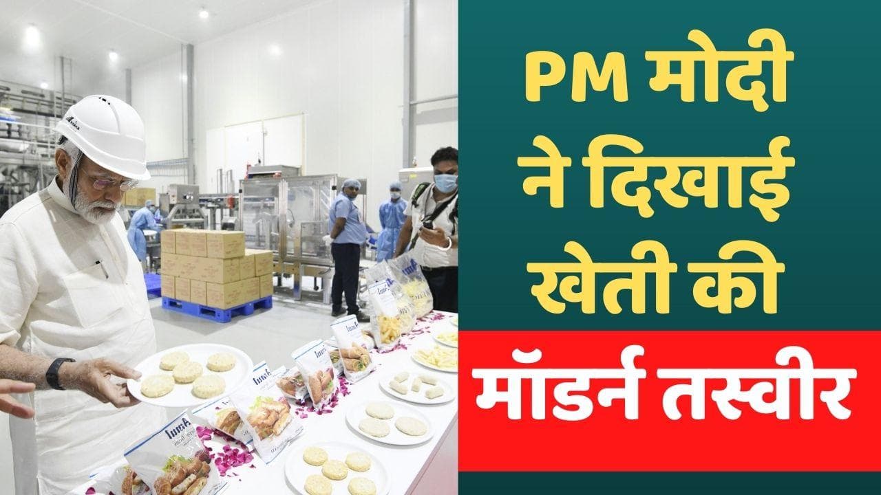PM Modi in Gujarat: PM ने किया डेयरी कॉम्प्लैक्स प्लांट का उद्घाटन, मैन्युफैक्चरिंग यूनिट भी पहुंचे