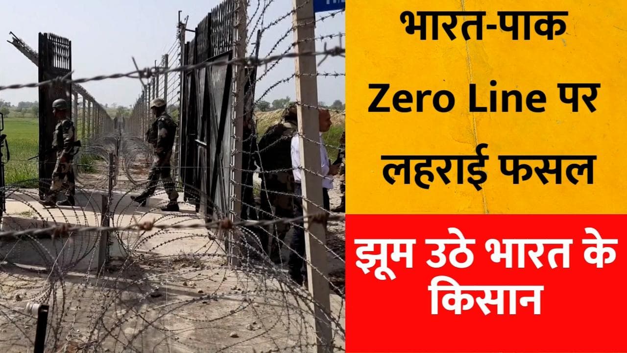 Jammu-Kashmir: India-Pak बॉर्डर पर लहराई फसल, भारतीय सेना को सलाम कर झूम उठे किसान