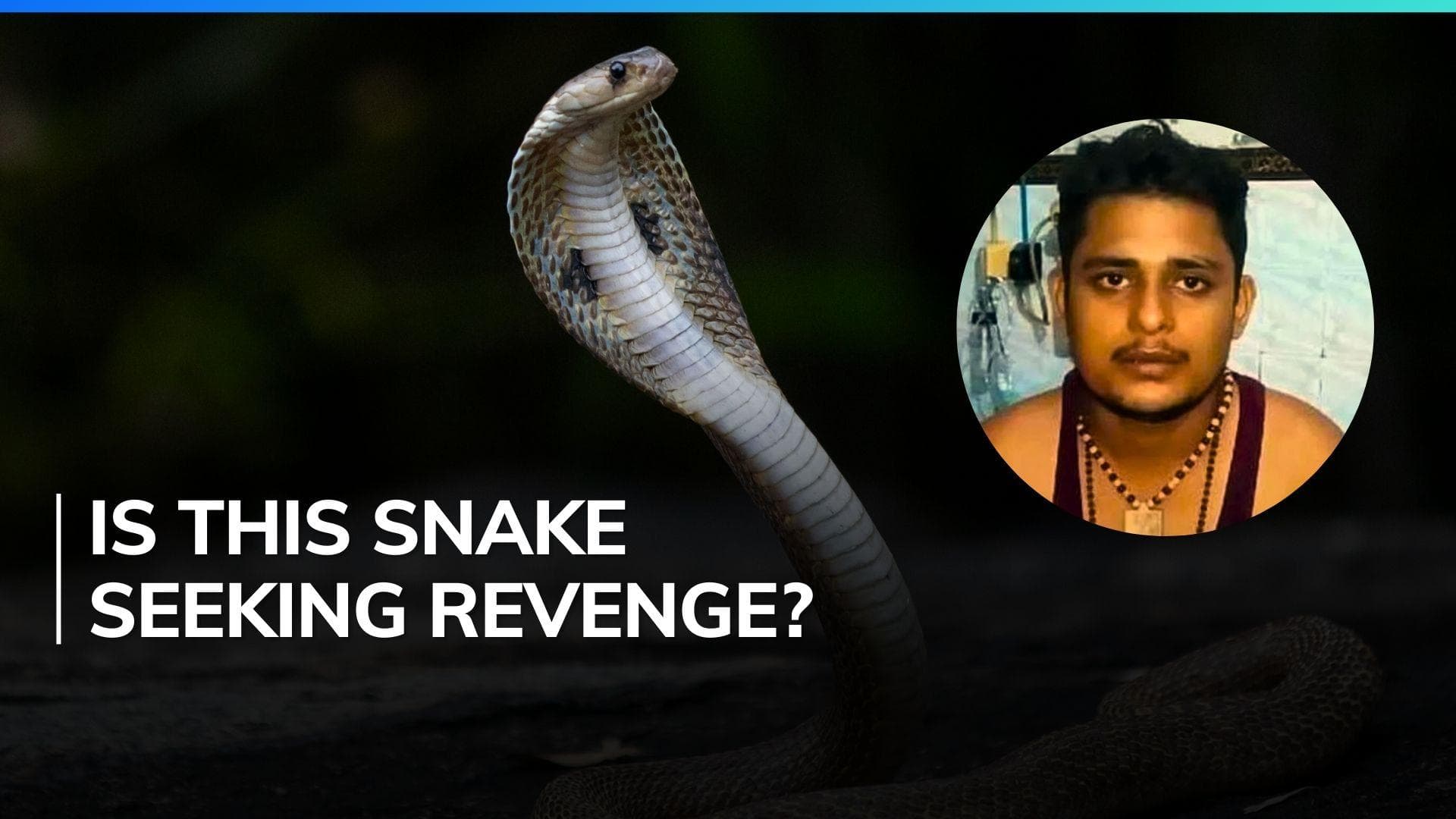 UP: Man bitten by snake 7 times in 40 days says he won't survive the ninth attack