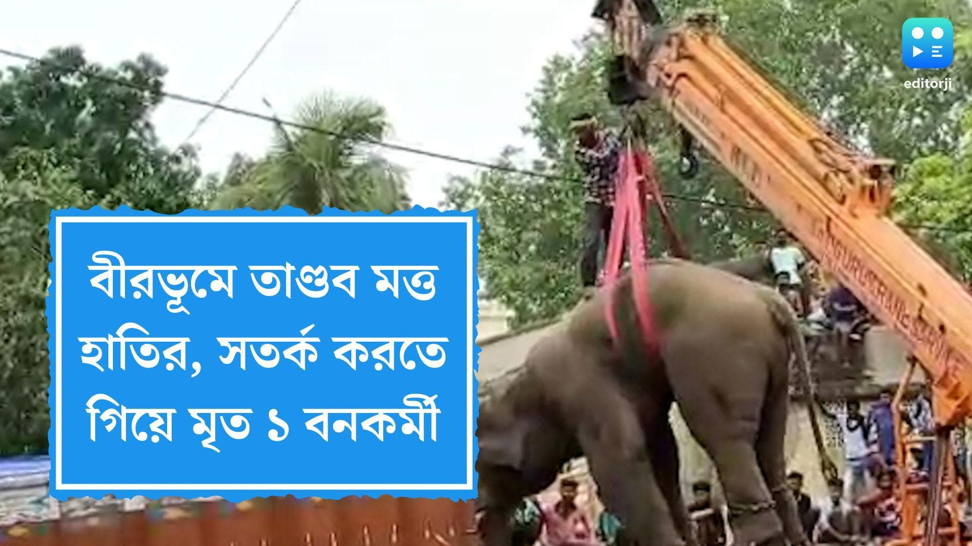 Elephant attacks in Birbhum: লোকালয়ে তাণ্ডব মত্ত হাতির, সতর্ক করতে গিয়ে প্রাণ হারালেন ১ বনকর্মী