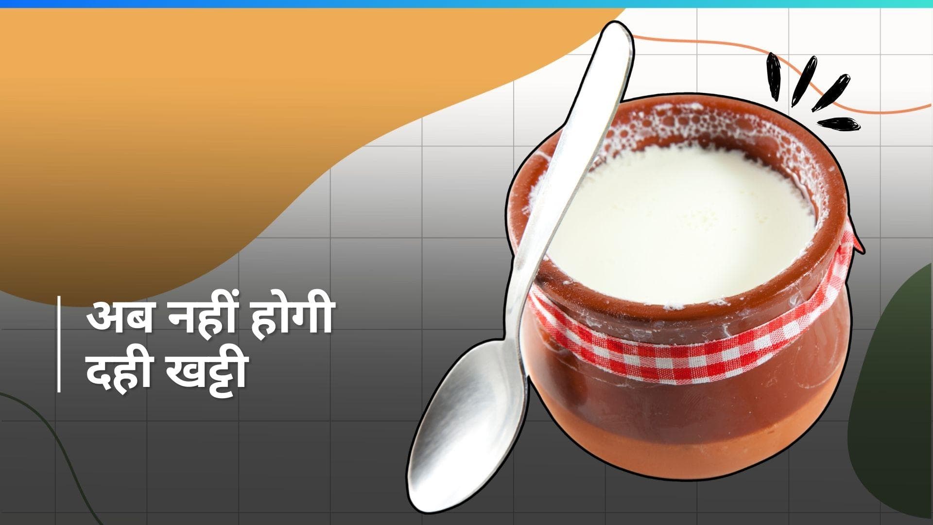 Prevent Curd from Getting Sour: गर्मी में जल्दी खट्टी हो जाती है दही? ये 4 हैक्स जरूर करें ट्राई 