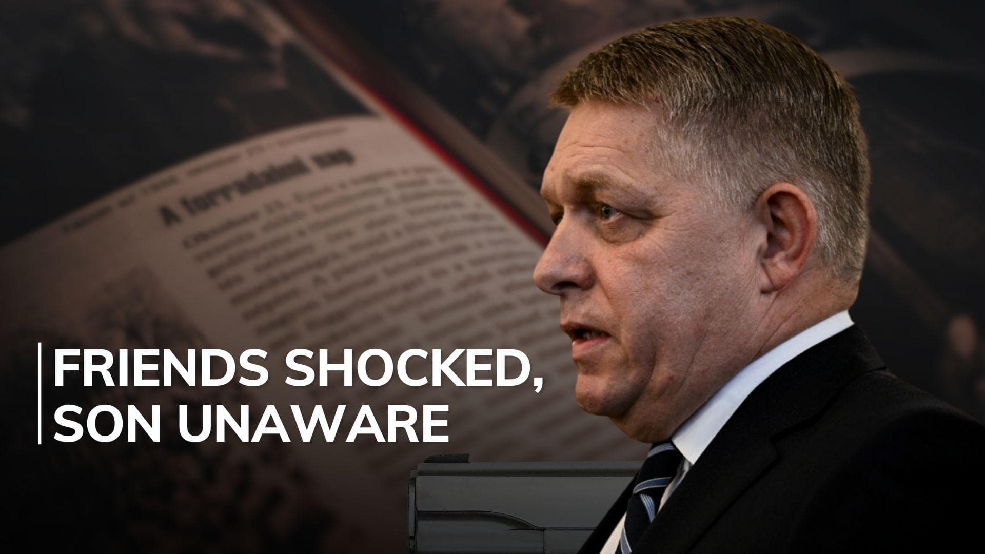 Who is 71-year-old poet suspected of having shot Slovak PM