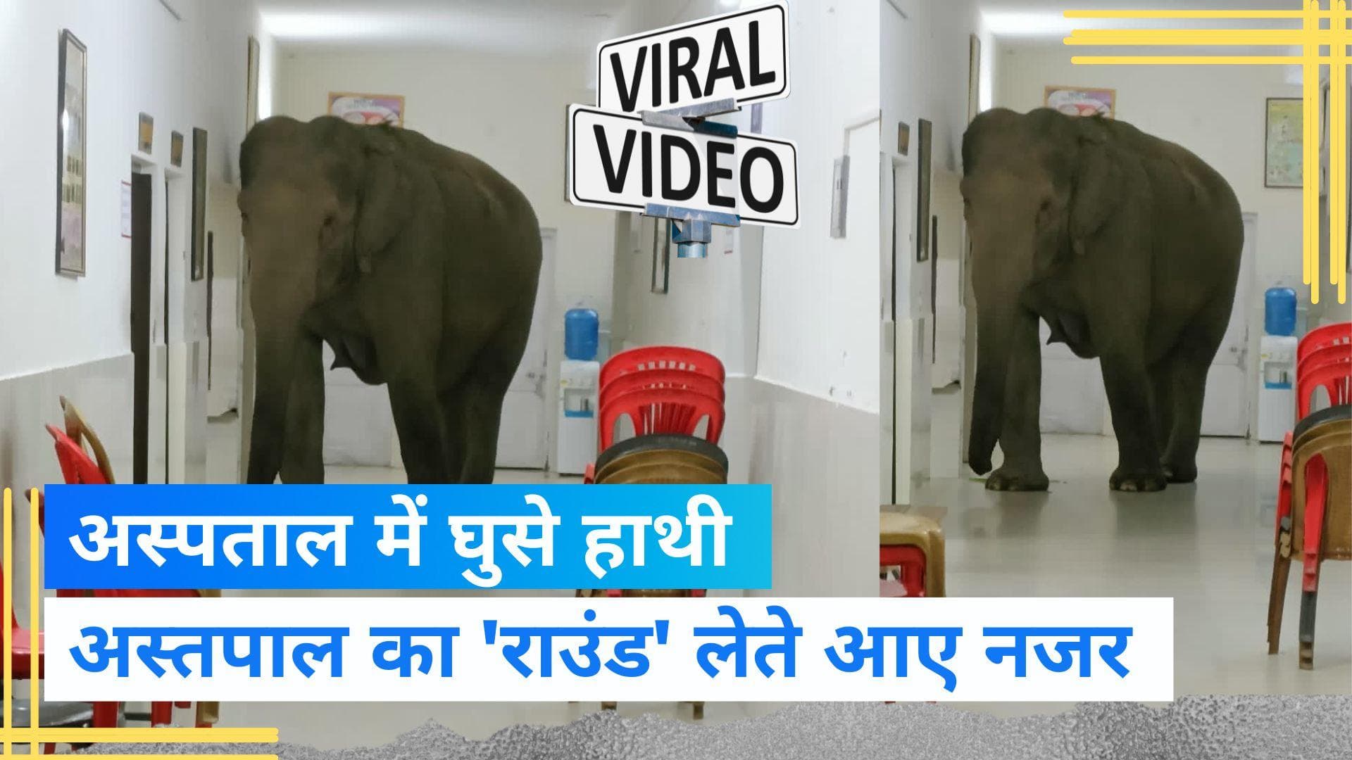 Viral Video: पश्चिम बंगाल के आर्मी अस्पताल में घुसे दो हाथी, वीडियो हो गया वायरल