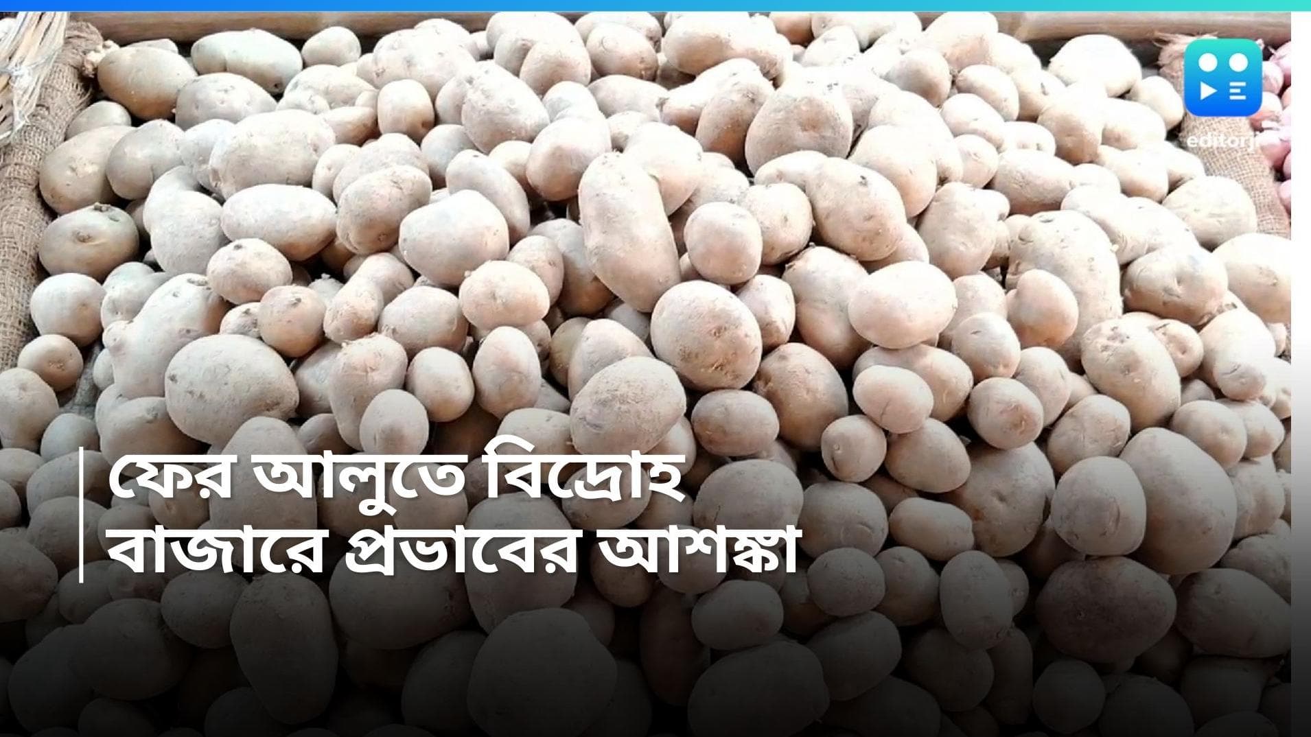 Potato Crisis :  ফের বাড়তে পারে আলুর দাম, দ্বিতীয় দফায় ধর্মঘটের ডাক ব্যবসায়ীদের