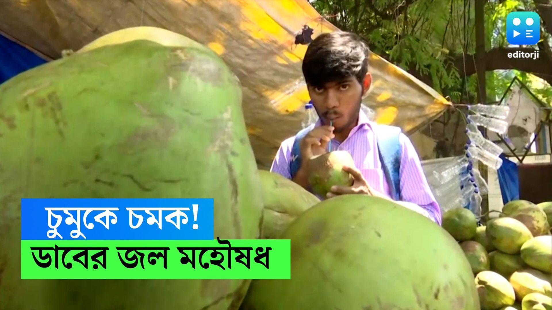 Coconut water in Summer: চুমুকে চমক! এই গরমে কোল্ড ড্রিঙ্ক নয়, সঙ্গী হোক ডাবের জল