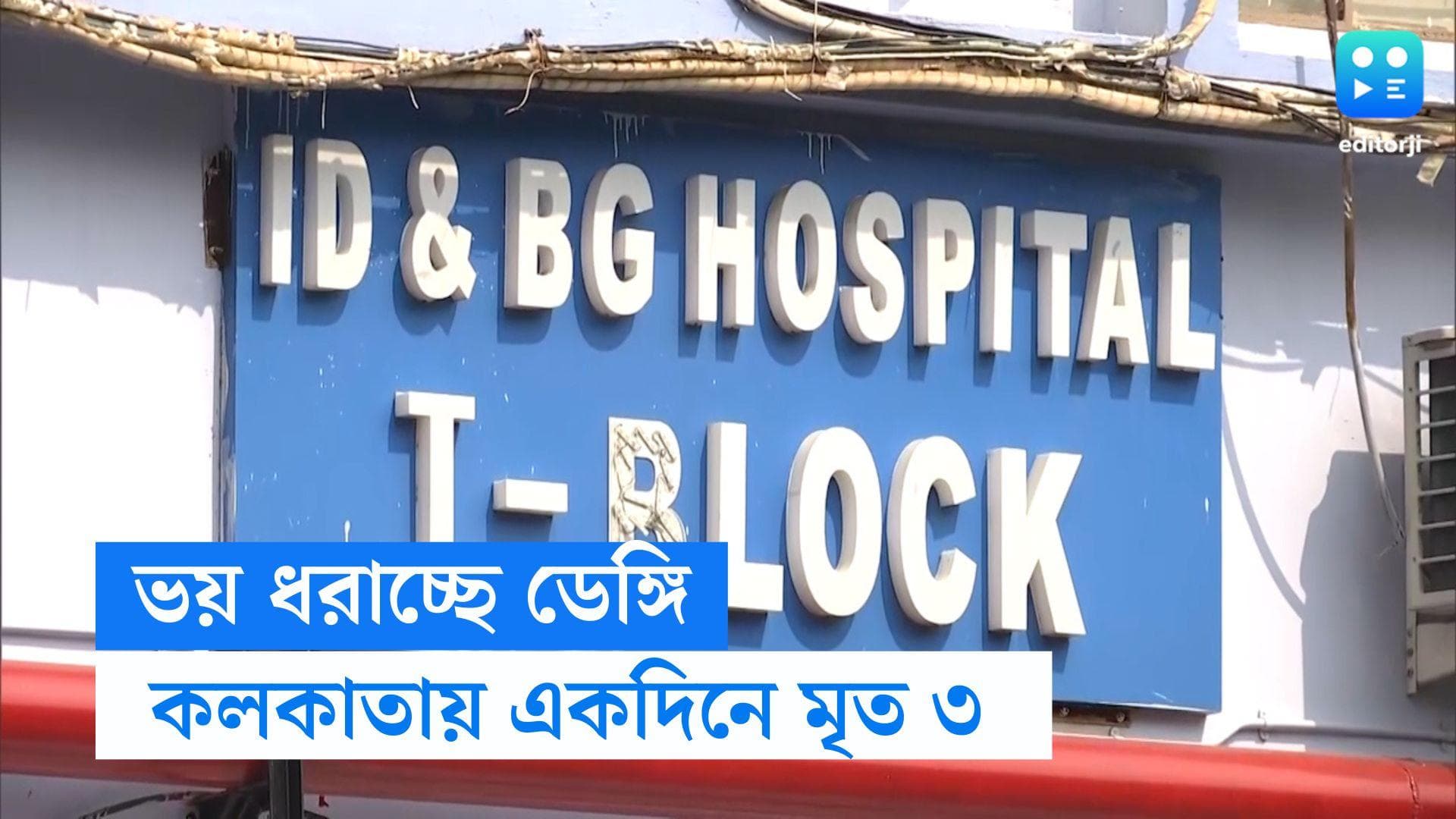 Dengue Situation in Kolkata: কলকাতায় ফের ডেঙ্গি হানায় মৃত্যু, ১ দিনে প্রাণ গেল ৩ জনের