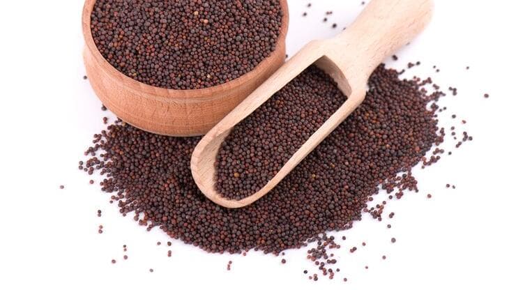 Are your mustard seeds adulterated? Find out with this quick FSSAI hack