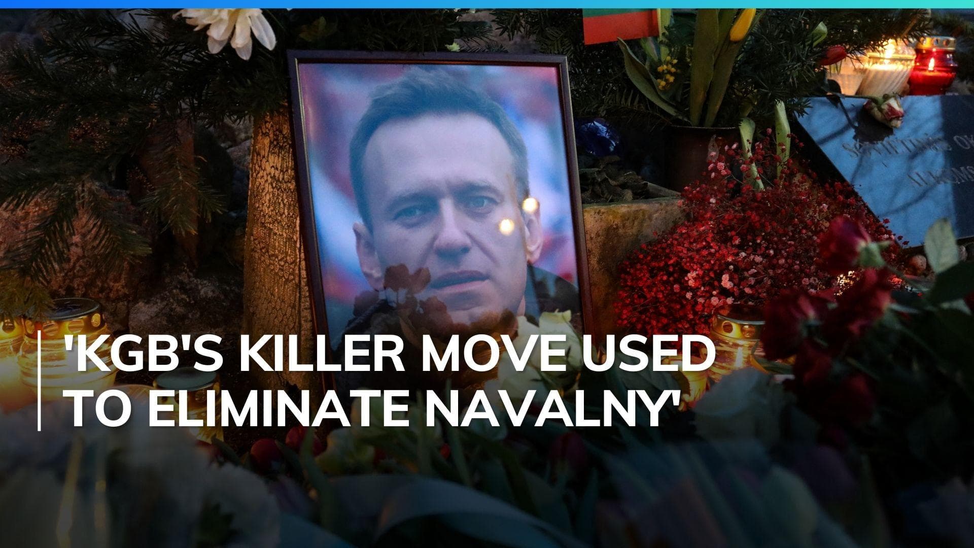 Alexei Navalny was killed by KGB's lethal 'one-punch kill' technique: activist 