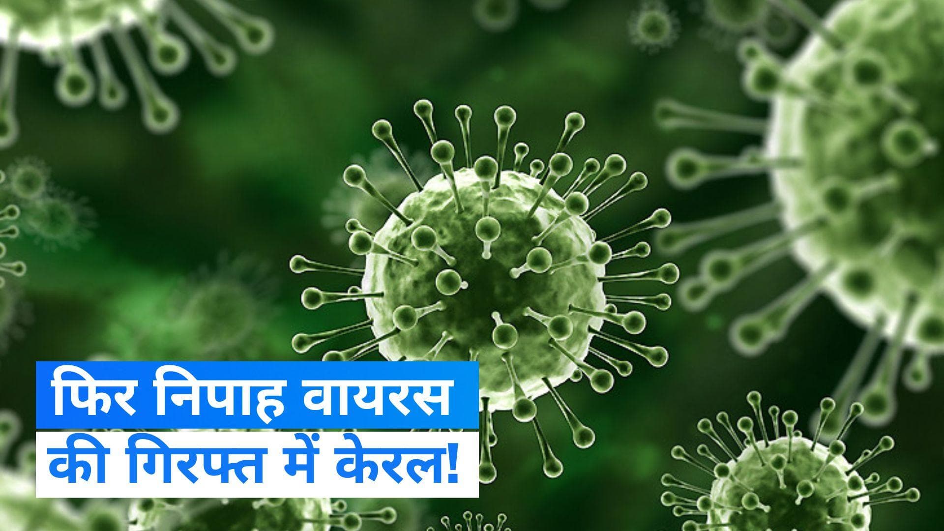 Nipah virus: केरल में फिर निपाह वायरस का खतरा! कोझिकोड में 2 लोगों की मौत