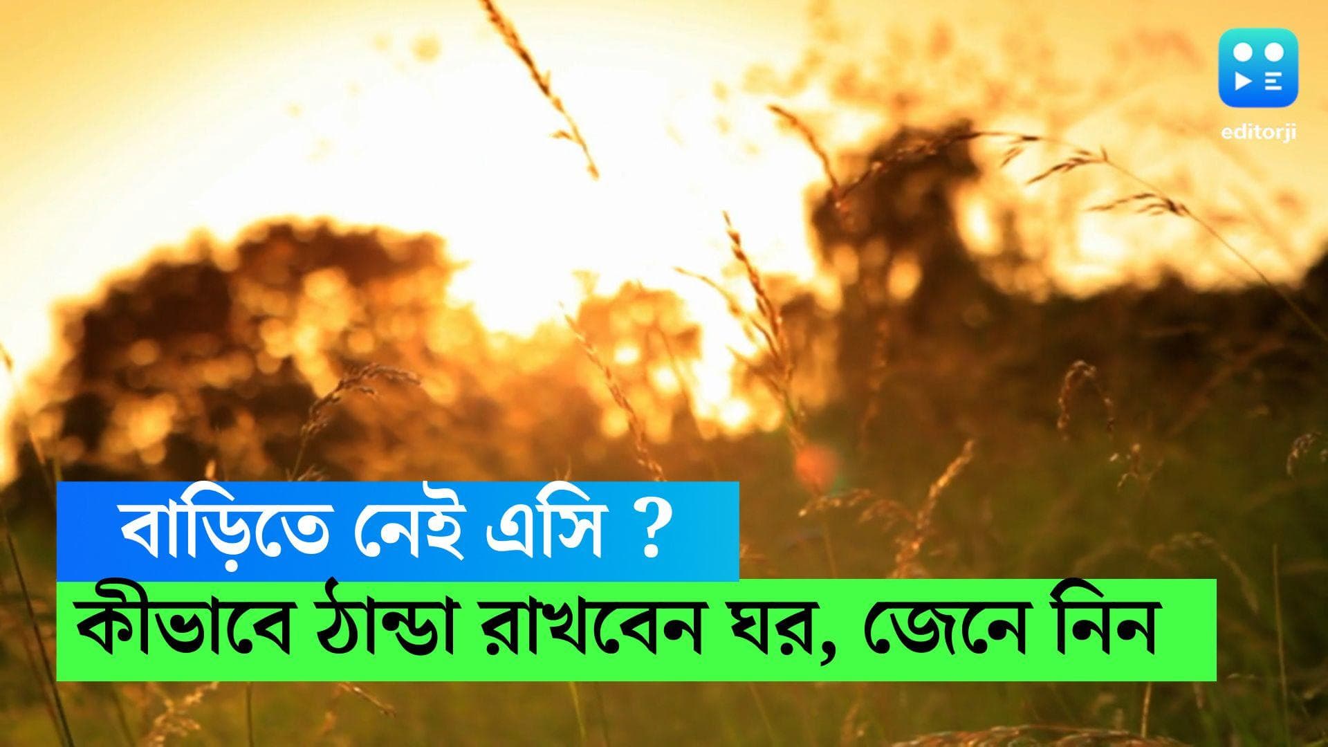 Summer Tips: এসি ছাড়াই ঘর ঠাণ্ডা রাখা যাবে, জানুন কীভাবে
