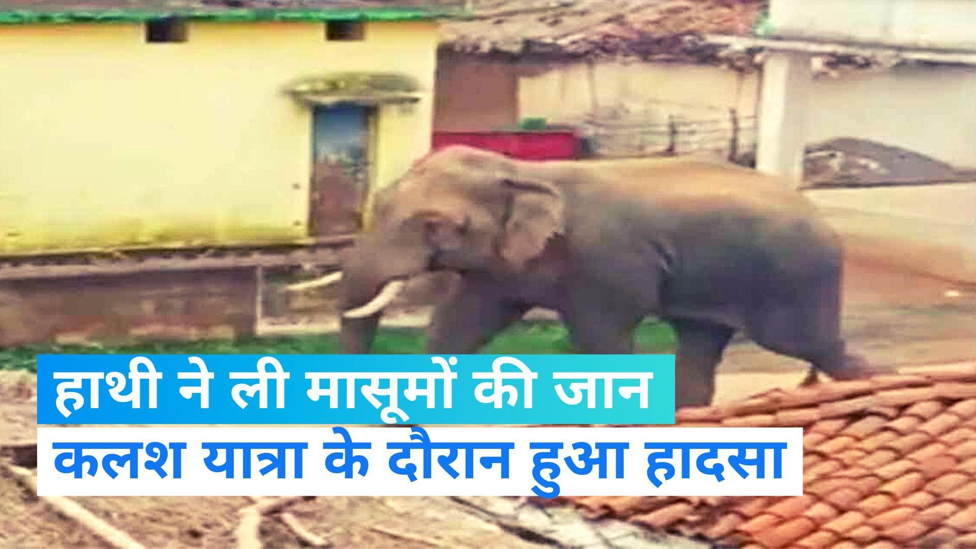 UP News: गोरखपुर में कलश यात्रा के दौरान बिदक गया हाथी, कुचलकर तीन लोगों को मार डाला