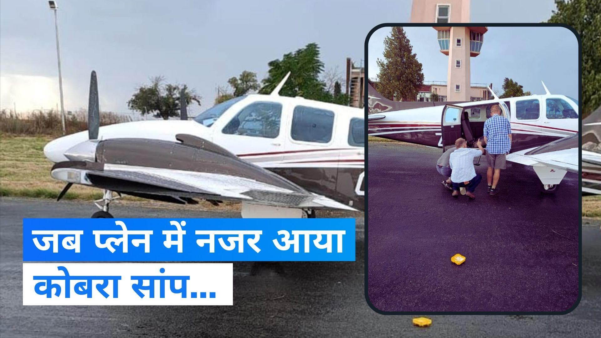 South Africa: उड़ती जहाज में पायलट को दिखा 4 फीट लंबा कोबरा! कराई गई इमरजेंसी लैंडिंग