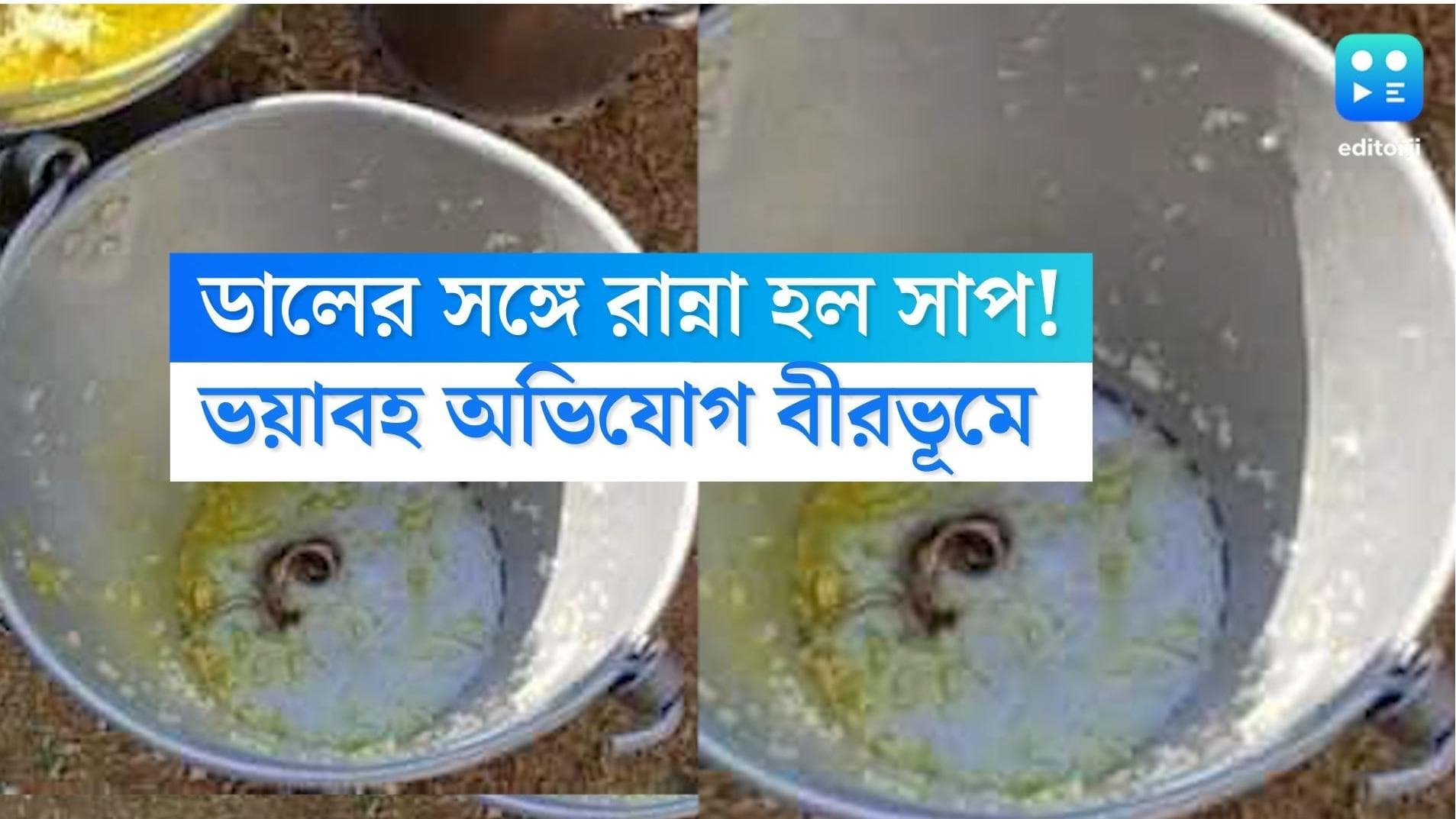 Snake in mid day meal: মিড ডে মিলে সাপ! হাসপাতালে প্রায় ৩০ জন পড়ুয়া, ব্যাপক চাঞ্চল্য ময়ূরেশ্বরে