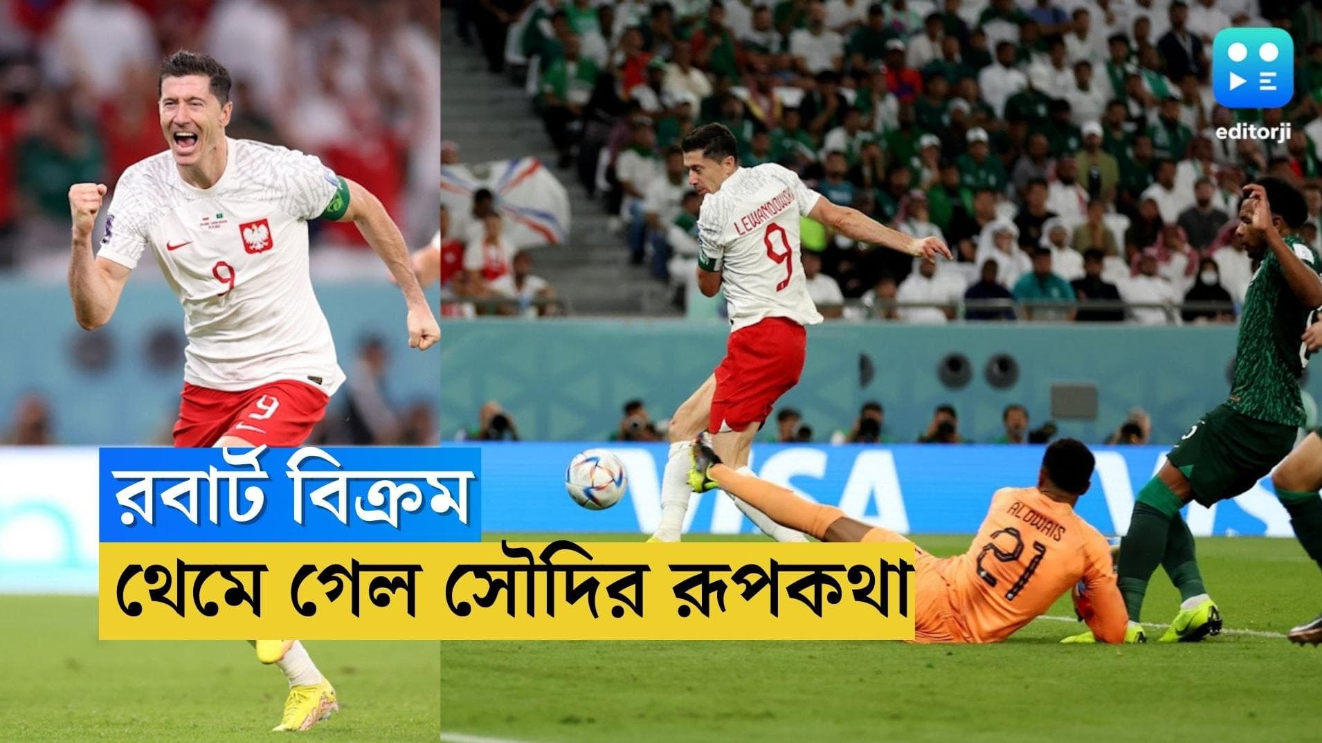 Qatar World Cup Poland Win : বিশ্বকাপের মঞ্চে প্রথম গোল, কাতারে সৌদির রূপকথা থামিয়ে দিলেন লেওভানডস্কি