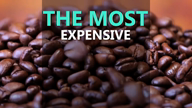 These are the world's most expensive coffees!
