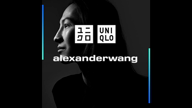 Alexander Wang now for Uniqlo