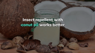 Coconut oil better than DEET, chemical insect repellents: USDA