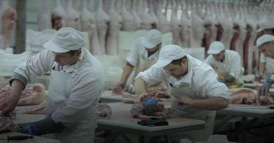 New guidelines for meat industry in the US