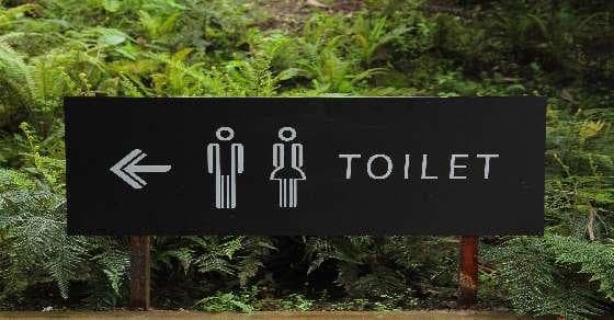 A trick used in the toilets at Disney World 