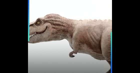 Scientists to start major dinosaur hunt in the US