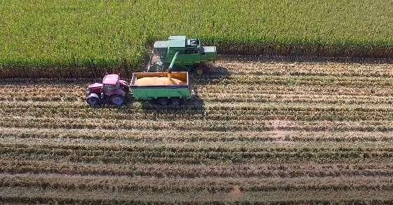 Corn production contributing to air pollution 