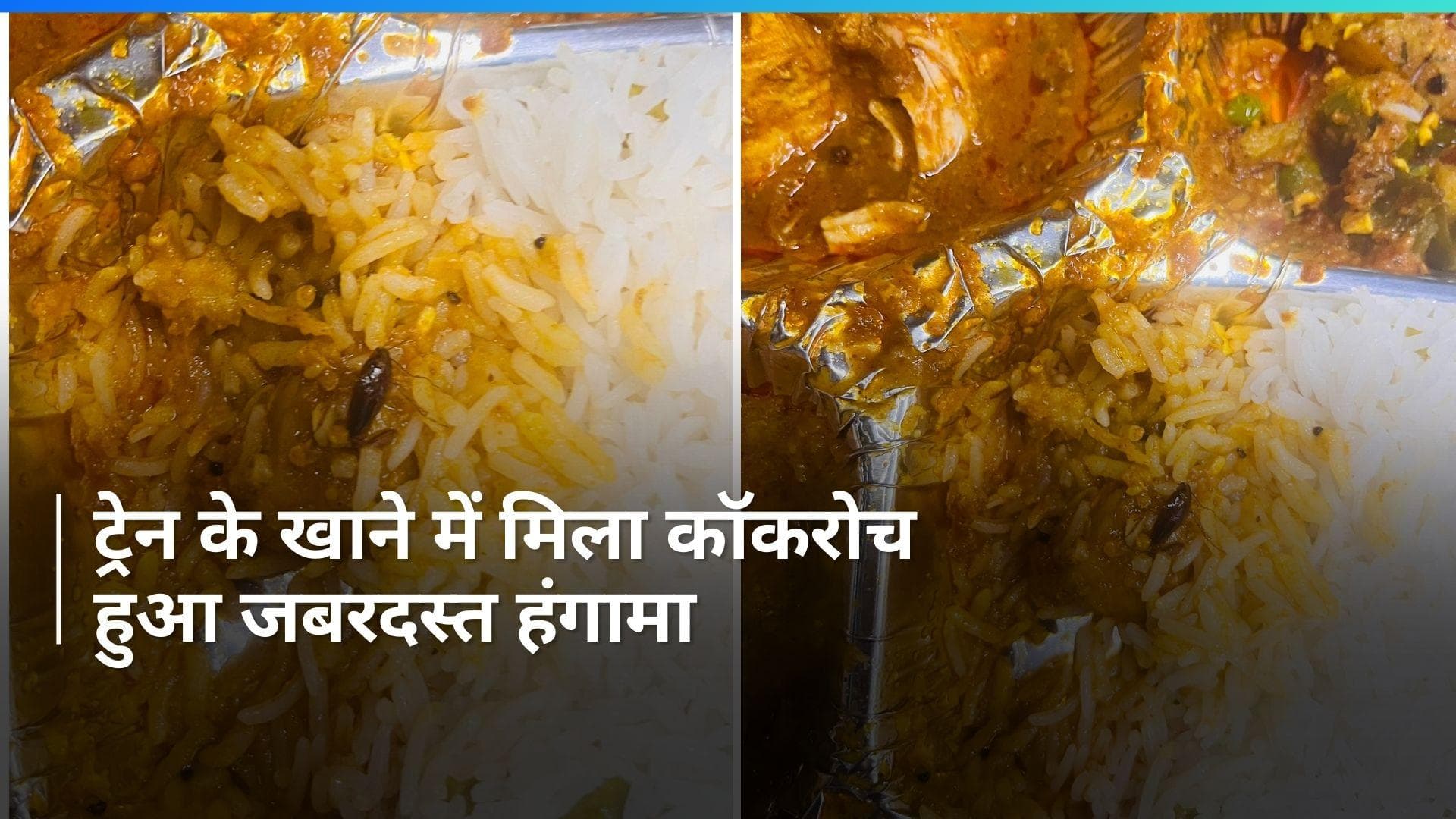 Vande Bharat ट्रेन की थाली में मिला कॉकरोच, पैसेंजर ने शेयर की फोटो