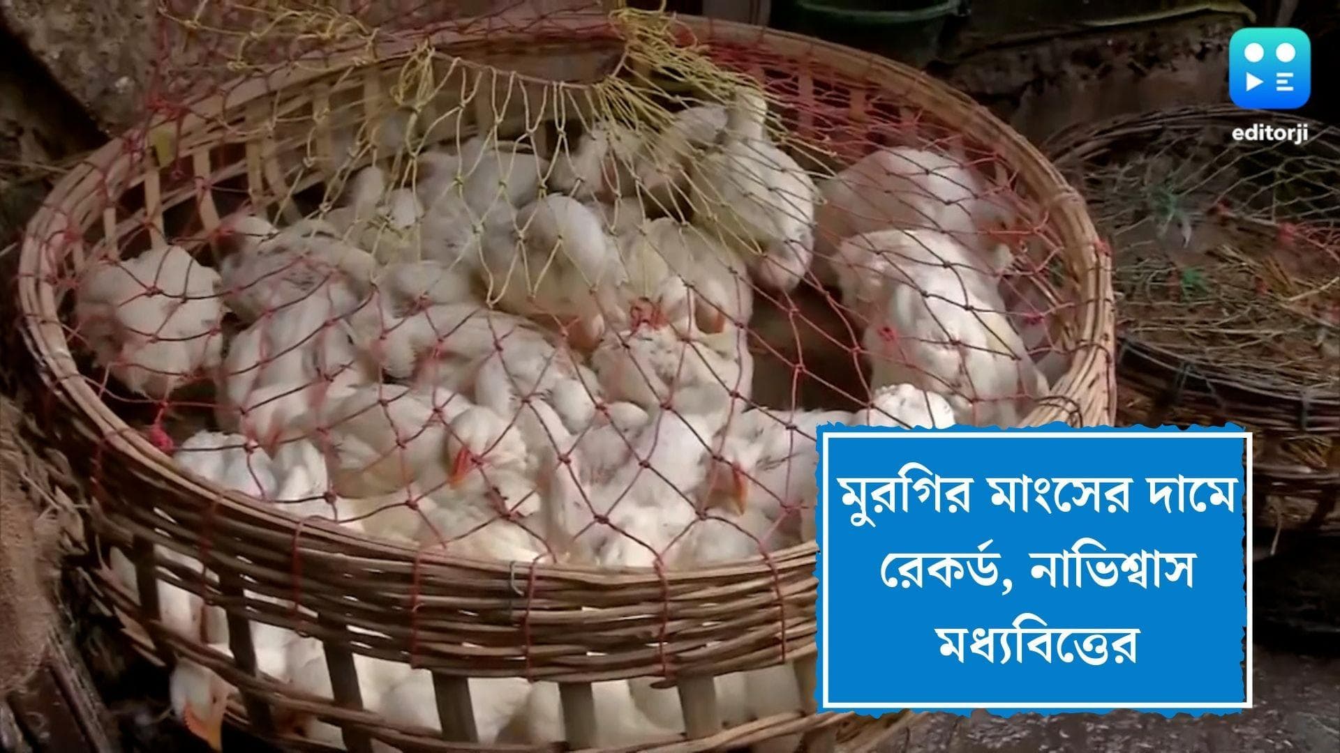 Chicken record high: রেকর্ড ছুঁল মুরগির মাংসের দাম, সবজি বাজারেও আগুন