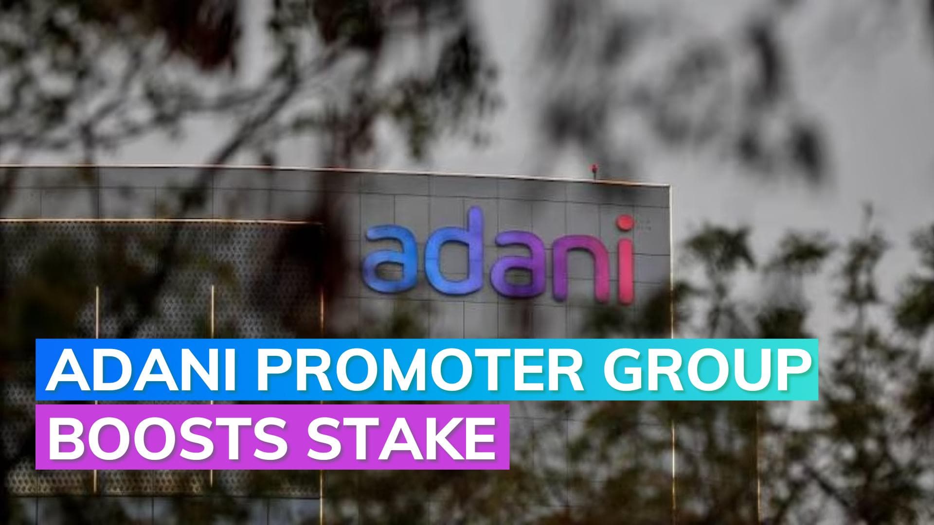Adani promoter group increases stake in flagship company 
