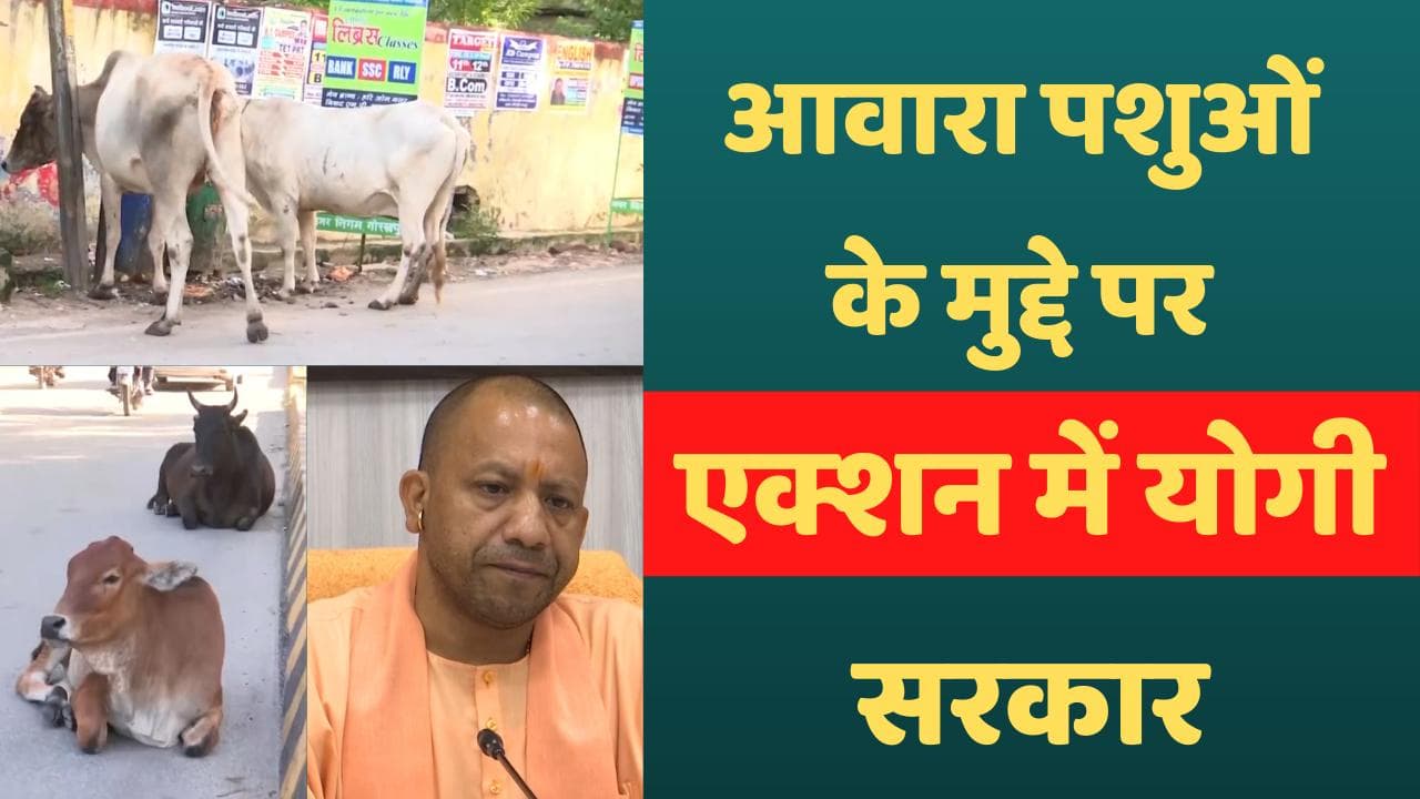 UP News: ‘छत्तीसगढ़ मॉडल’ पर योगी सरकार निपटेगी आवारा पशुओं की समस्या से