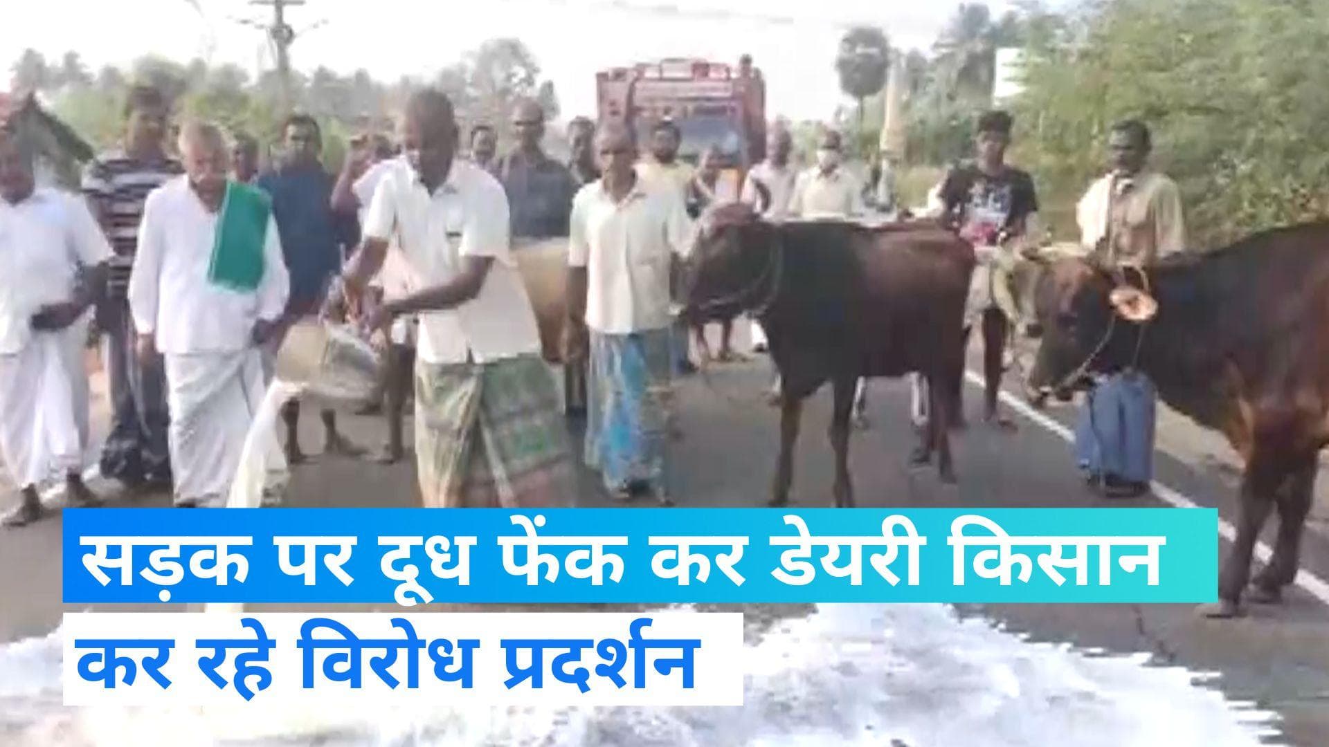 Tamil Nadu: अनिश्चितकालीन हड़ताल पर डेयरी किसान...सड़क पर बहा रहे दूध, ये हैं मांग