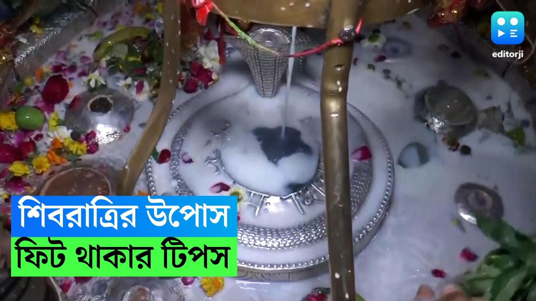 Shivratri Fasting tips : শিবরাত্রিতে উপোস, সারাদিন ফিট থাকতে আগের দিন কী কী প্রস্তুতি নেবেন, রইল টিপস 