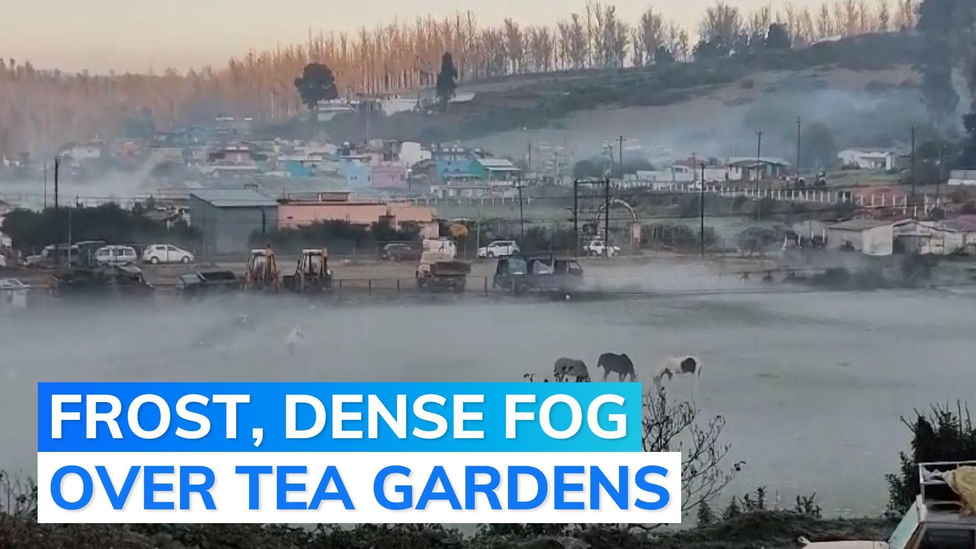 Near freezing temperature in this Tamil Nadu district has locals worried