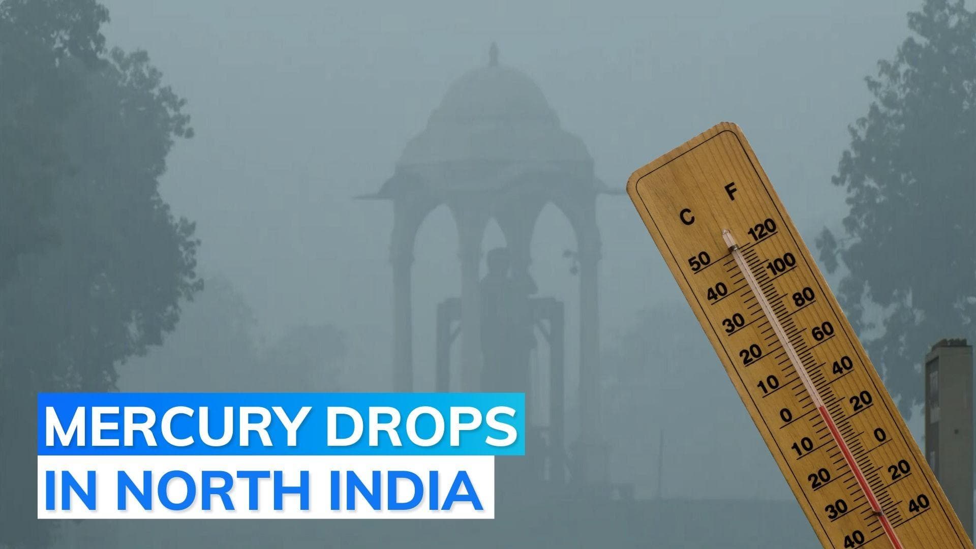 Cold wave to intensify in North India next week: Met Department